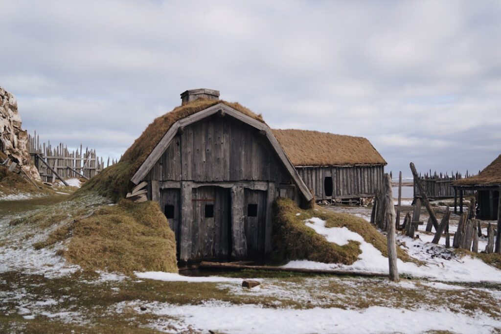 Photo Viking warrior